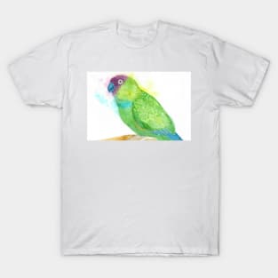 Watercolor nanday parakeet portrait - bird painting T-Shirt